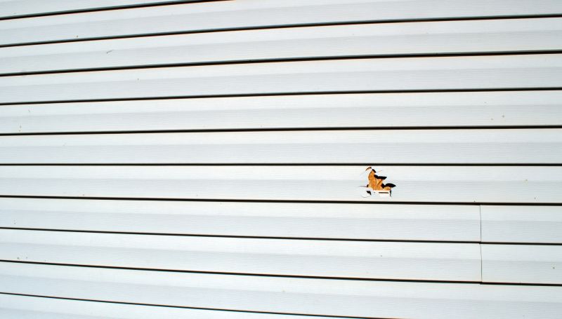 Home Siding Repair detail